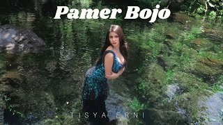 Pamer Bojo (Didi Kempot) - Tisya Erni Cover