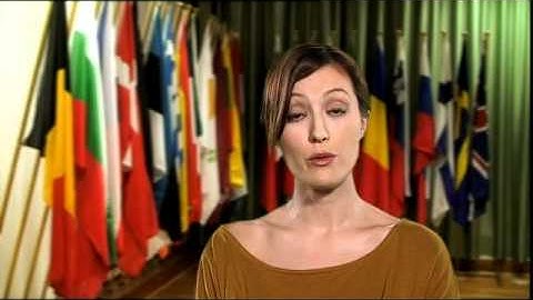 EU Quota - a definition