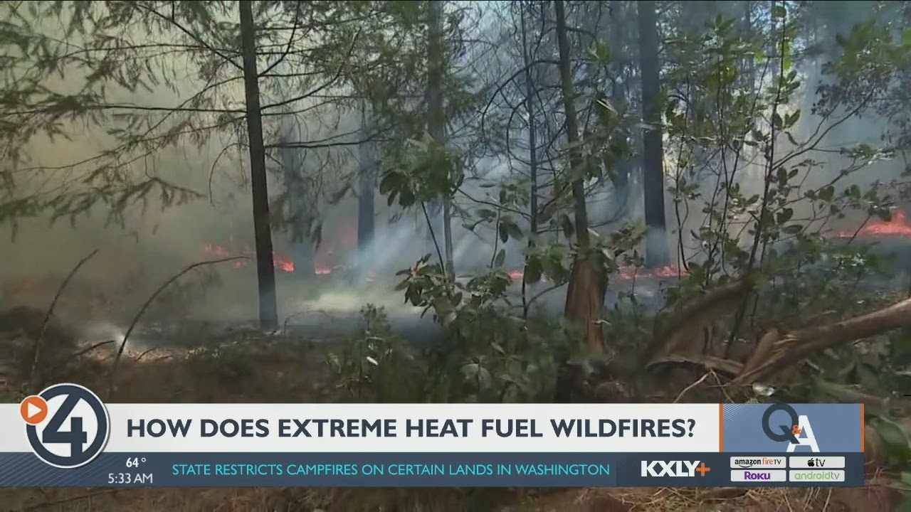 4 News Now Q&A: How does extreme heat fuel wildfires?