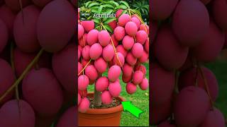 Secret Fruit Grafting Method Explained🔥 #shorts #plantgrafting