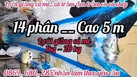 lưới đánh cá 3 màn lưới giăng cá mè lưới đánh cá hồ thủy điện sông sâu