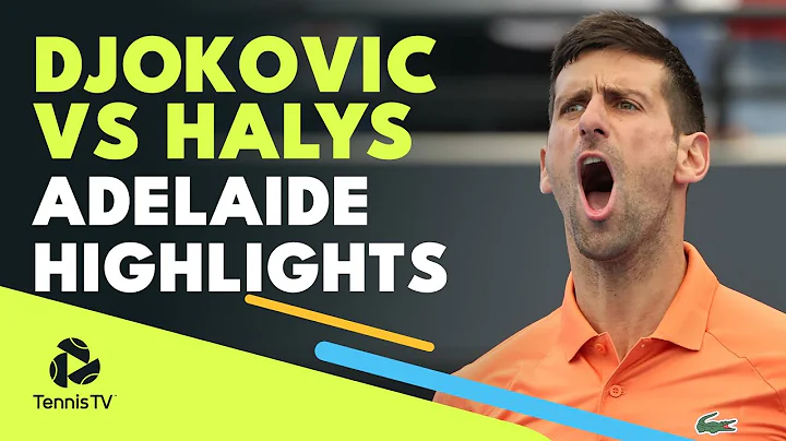 Novak Djokovic vs Quentin Halys | Adelaide 2022 Hi...