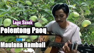 Lagu sasak | PELENTONG PAOQ | cover Maulana Hambali