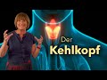 Der Kehlkopf: Lage, Aufbau, Phonation