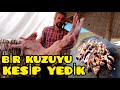 SACDA KUZU ETİ PİŞİRDİK --KUZULARIN YANINA GİTTİM KAÇ GÜNDÜR GÖRMEDİĞİM KÖPEĞİM HIRÇOYU GÖRDÜM( 20 )