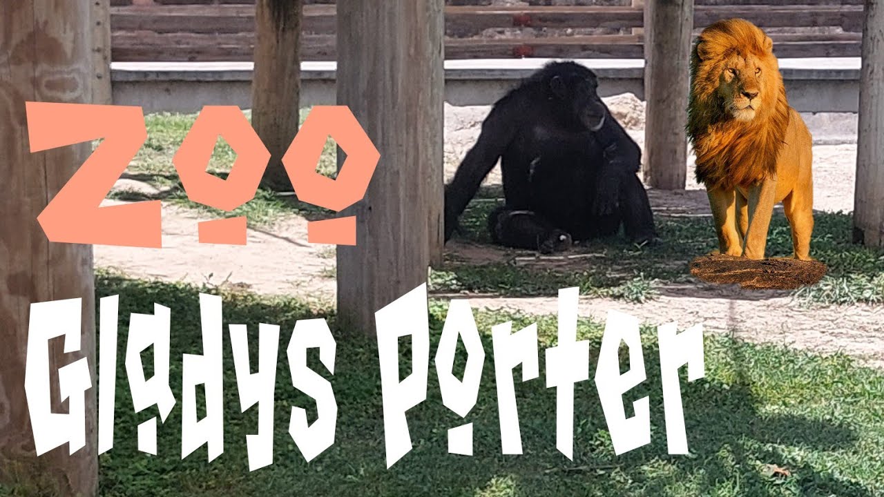 Zoologico "Gladys Porter Zoo"Tour (Cortometraje) 2022 - YouTube