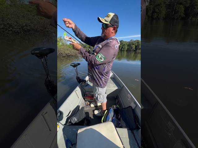 Aquela dica de como se divertir com qualidade. #fishing #pescaria #pesca #suiamiçu