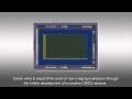 Canon 35 mm full-frame video sensor in action