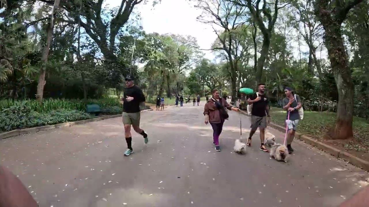 CYCLING IN BRAZIL | São Paulo [Parque Ibirapuera]