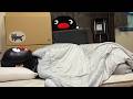 今日は生配信も動画もお休みします/No Stream or Upload Today