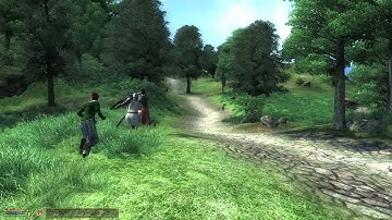 Oblivion - A Very Random Encounter