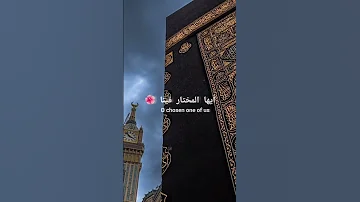 يرتوي بالحب قلبي Maher Zain 