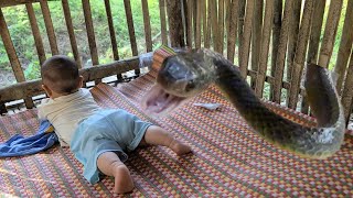 FULL VIDEO: Struggling to raise children alone. Snake bitten the child. Bad guy bothering