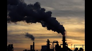What is "Net-Zero?"