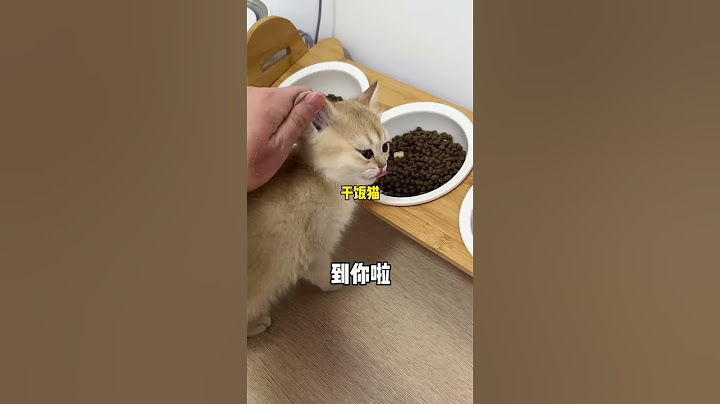 【牛奶是只猫】显眼包果然是意料之中…