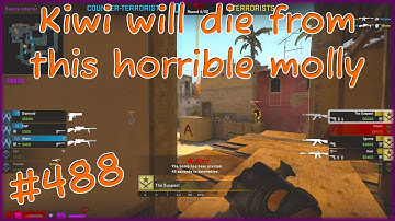 Poor Kiwi! | Daily CS:GO Overwatch Case | #488