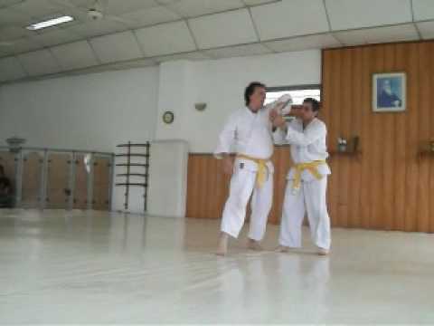 Aikido Dojo Villa Luro - Examen 4 Kyu David Moscov...