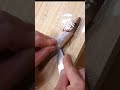 キス捌きと至福の食べ方