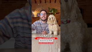 LONATO sto arrivando 🚀 #chico #canedivertente #divertente #funny #cane