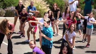 Aspire Flash Mob 2.mpg