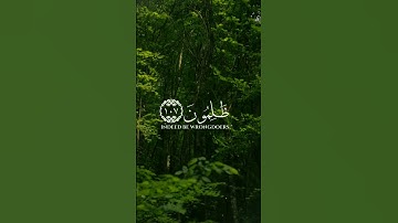 سوره المؤمنون بصوت الشيخ ياسر الدوسري 🍃 | #ياسر_الدوسري #سورة_المؤمنون