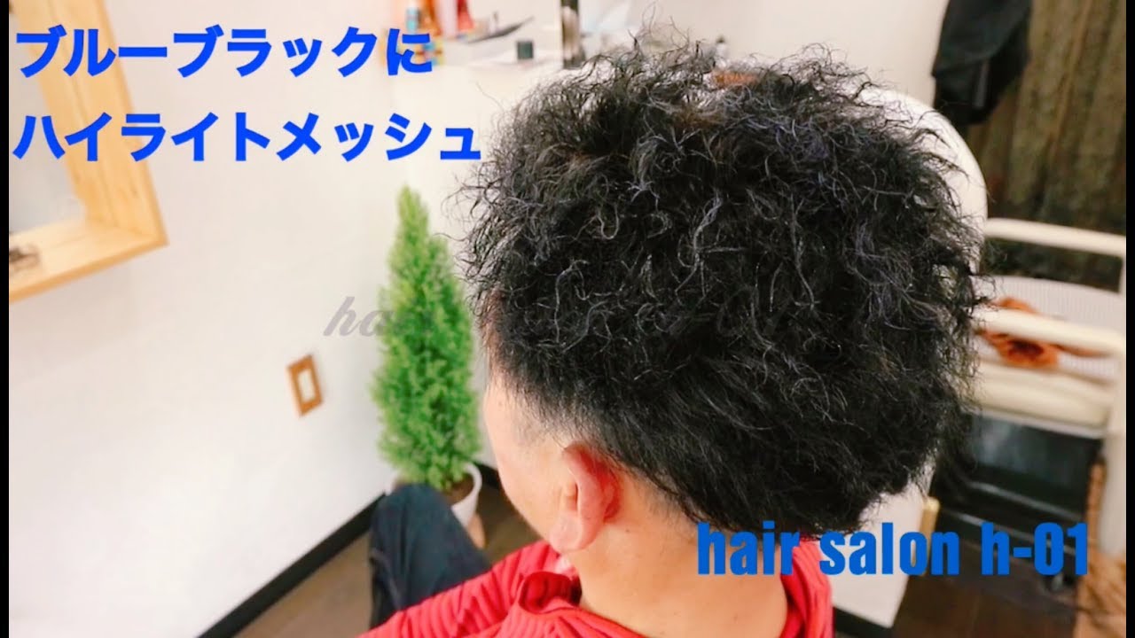 ブルーブラックにハイライトってこんな感じ 白髪にもオススメ Youtube ブルーブラックにハイライトってこんな感じ 白髪にもオススメ Youtube
