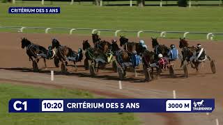Vidéo de la course PMU CRITERIUM DES 5 ANS