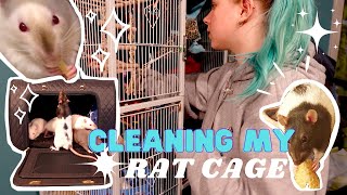 🐁HOW I CLEAN MY RATS CAGE // CAGE TOUR🧼