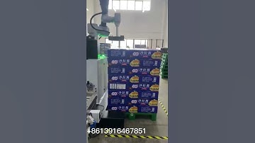 Automatic cooperative robot palletizing machine for Salad dressing case