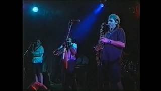 Quatre In Toulouse Kater T.