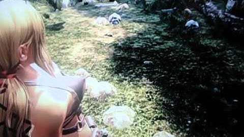 Blades of Time Glitch!