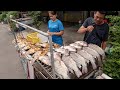굽자마자 팔리는! 20년 동네 단골 많이 찾는 방콕 길거리 생선구이~ / pla pao (Roasted Fish)- Thai street food
