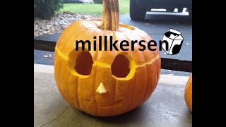 Millkersen VLOG 2 - Pumpkin Patch, Pool, & Brewery!