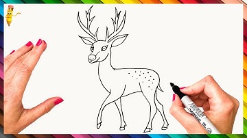 How To Draw A Deer Step By Step 🦌 Deer Drawing Easy