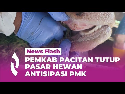 Antisipasi PMK, Pemkab Pacitan Tutup Aktivitas Seluruh Pasar Hewan