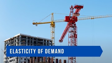 Elasticity of Demand: Understanding Price Sensitivity and Consumer Behavior