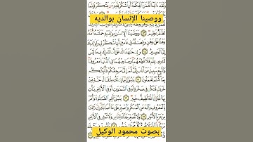 ووصينا الإنسان بوالديه #تلاوات_خاشعة #قرآن #لا  #تجويد #المنشاوي #هشتاق #سورة_لقمان #دويتو #ترند