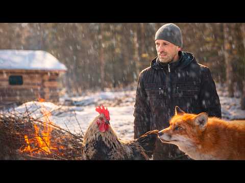 ХУТОР  В ЛЕСУ совсем недавно был брошенным. Рыбалка сменилась охотой. Ловушка на ДИКОГО ЗВЕРЯ