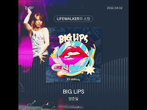양준일 BIG LiPS 완전 반응이 Big BIGLiPS JIY 스밍인증