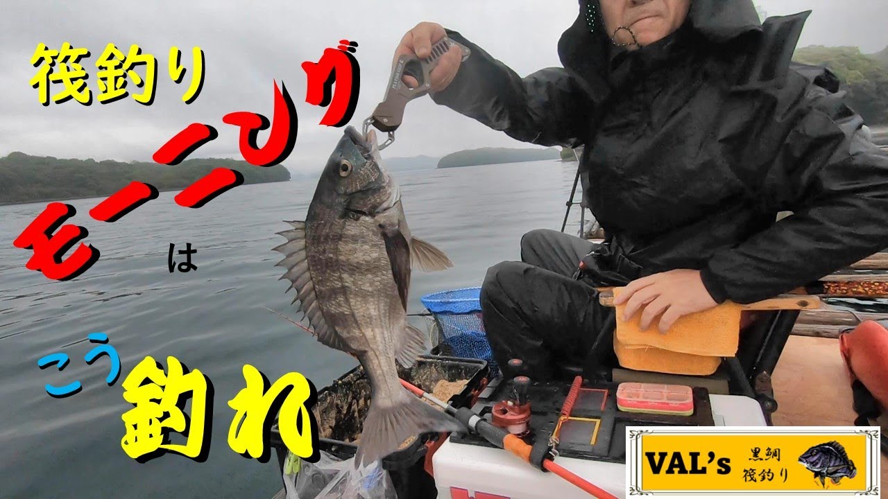 モーニングはこう釣れ！】VALの黒鯛筏釣り #モーニング #自作 #穂先