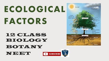Ecological Factors I Principles of Ecology I Botany I Class 12 | TNSCERT/CBSE | NEET