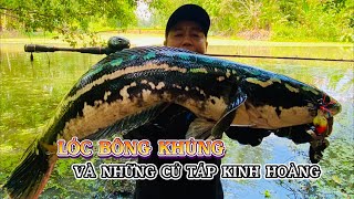 Câu Cá Lóc Bông Rừng Tràm Quá To Tập 5 #DươngBìnhFishing | CÂU CÁ GIẢI TRÍ