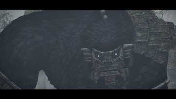 Shadow of the Colossus (PS4) [Part 15: Argus] (No Commentary)