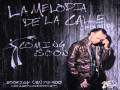 La envidia - Tony Dize
