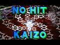 No Hit Kaizo Roaring Knight 22 Turns Full Run 2 0 Deltarune 