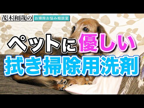 室内で犬や猫などペットを飼っている方必見！ペット優しいおすすめな拭き掃除用洗剤とは？