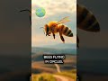 The Invisible Bee Killer No One Talks About 🐝