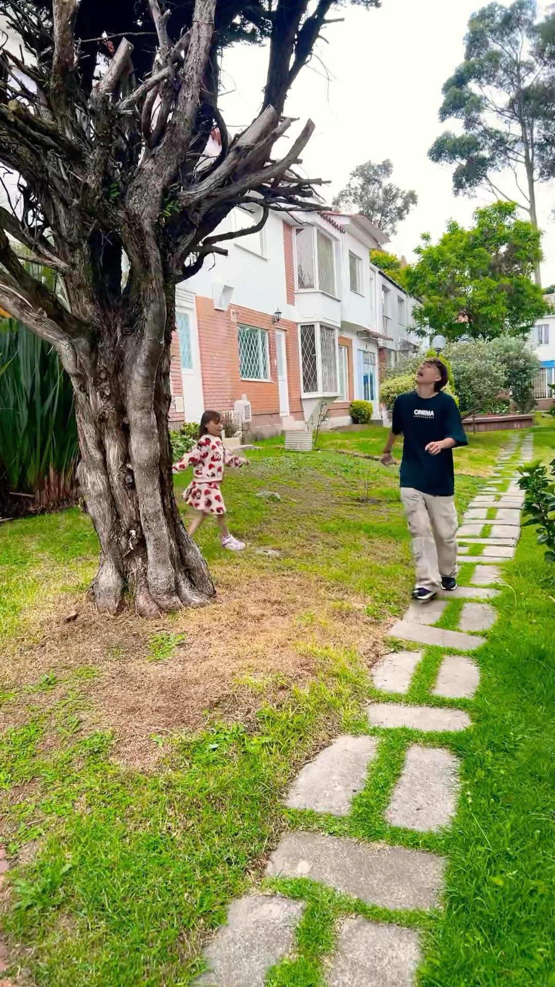 VIMOS ALGO EXTRAÑO EN EL ÁRBOL #humor #cosasdefamilia #comedia #shortviral #fypシ゚