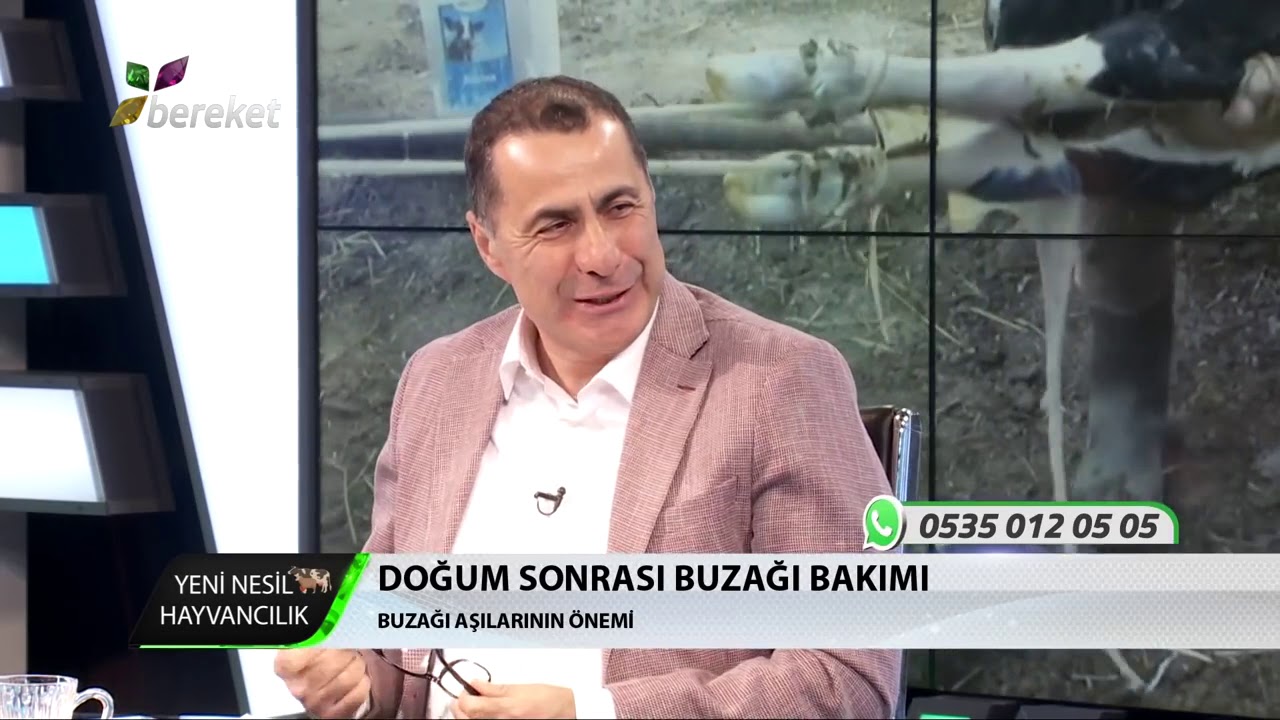 Protech - Vira Buzağı Yemi - Buzağı Sağlığı ve Beslemesi