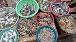 TEMPAT PELELANGAN IKAN  ( TPI ) tambak lorok